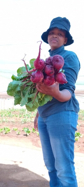 Garden produce harvested through the agroecology programme